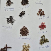 Viele verschiedene Pfeffer und Pseudopfeffer Ich bin Gewürzsommelier - Pfeffer im Überblick
